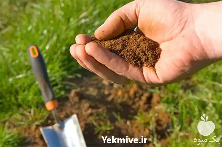 فروش کود مخصوص باغچه در تهران در گروه خرید و فروش انواع کود کشاورزی در یکمیوه -عکس1