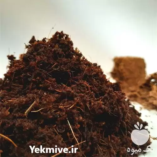 قیمت خرید بستر کشت سریلانکایی در تهران در گروه خرید و فروش انواع کود کشاورزی در یکمیوه -عکس1