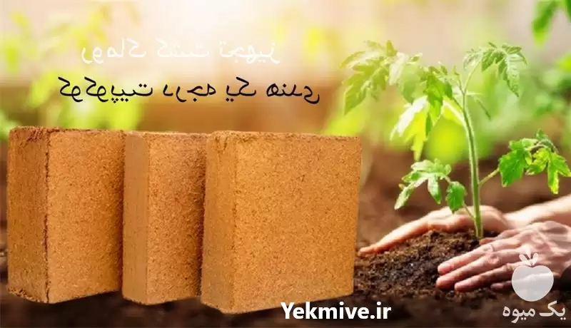 قیمت خرید کوکوپیت فاین در گروه خرید و فروش انواع کود کشاورزی در یکمیوه -عکس1