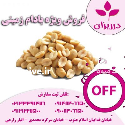 فروش بادام زمینی کره گیری فروش در گروه خرید و فروش بادام در یکمیوه -عکس1