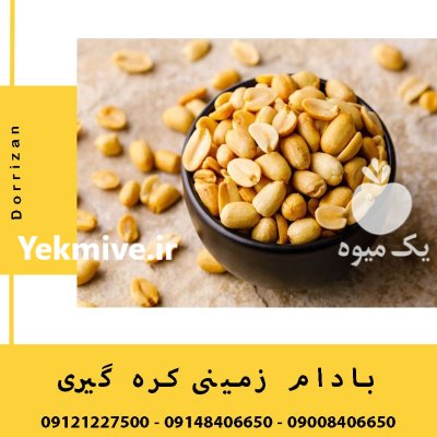 فروش بادام زمینی مخصوص کره گیری در گروه خرید و فروش بادام در یکمیوه -عکس1