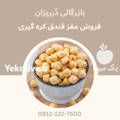 فروش مغز فندق کره گیری فروش در گروه خرید و فروش دانه های روغنی در یکمیوه -عکس1