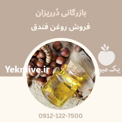 فروش فندق خام فروش مغز فندق در تهران در گروه خرید و فروش فندق در یکمیوه -عکس1