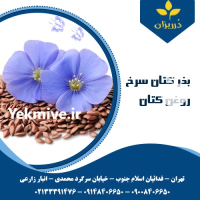 فروش تخم کتان فروش روغن کتان در گروه خرید و فروش ادویه در یکمیوه -عکس1