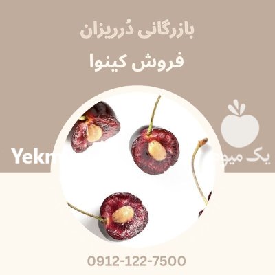 فروش روغن و فروش مغز هسته در تهران در گروه خرید و فروش انواع روغن در یکمیوه -عکس1