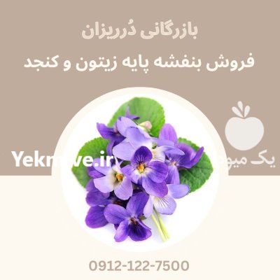 فروش روغن بنفشه پایه کنجد پایه در تهران در گروه خرید و فروش انواع روغن در یکمیوه -عکس1