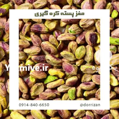 فروش مغز پسته کره گیری فروش در گروه خرید و فروش پسته در یکمیوه -عکس1