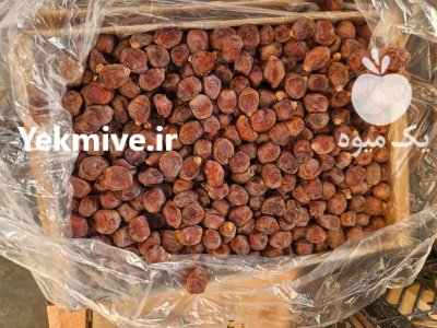 خرمای خاصویی درجه یک در کرج در گروه خرید و فروش خرما در یکمیوه -عکس1