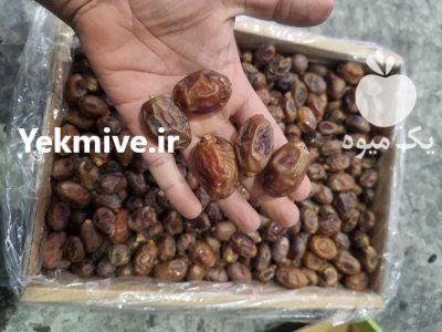 خرمای خاصویی درجه یک در کرج در گروه خرید و فروش خرما در یکمیوه -عکس3