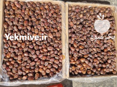 خرمای خاصویی درجه یک در کرج در گروه خرید و فروش خرما در یکمیوه -عکس4