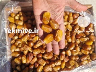 فروش خرمای زاهدی لوکس درجه دو در آستارا در گروه خرید و فروش خرما در یکمیوه -عکس1