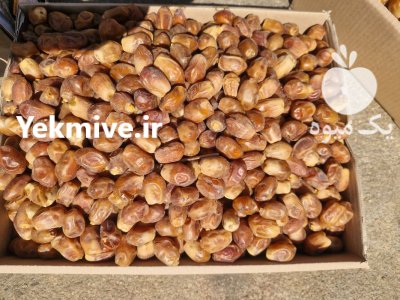 فروش خرمای زاهدی لوکس درجه دو در آستارا در گروه خرید و فروش خرما در یکمیوه -عکس3