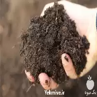 قیمت خرید عمده خاک پیت ماس در تهران در گروه خرید و فروش انواع کود کشاورزی در یکمیوه