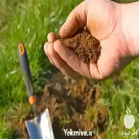 فروش کود مخصوص باغچه در تهران در گروه خرید و فروش انواع کود کشاورزی در یکمیوه