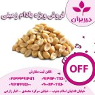 فروش بادام زمینی کره گیری فروش در گروه خرید و فروش بادام در یکمیوه