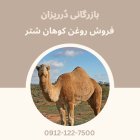 فروش روغن کوهان شتر فروش روغن در تهران در گروه خرید و فروش انواع روغن در یکمیوه