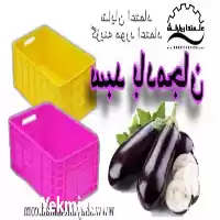 قیمت خرید سبد پلاستیکی در اصفهان در گروه خرید و فروش انواع سبد در یکمیوه