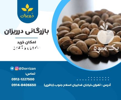 فروش دانه های روغنی فروش روغن در تهران در گروه خرید و فروش انواع روغن در یکمیوه -عکس1