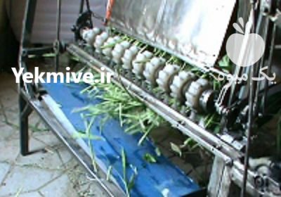 دستگاه علوفه خرد کن علوفه خردکن در اندوهجرد در گروه خرید و فروش دستگاه علوفه در یکمیوه -عکس1