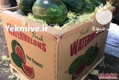 پوشال سیب پوشال هندوانه کاغذ گراف در گروه انواع بسته بندی محصول در یکمیوه -عکس1