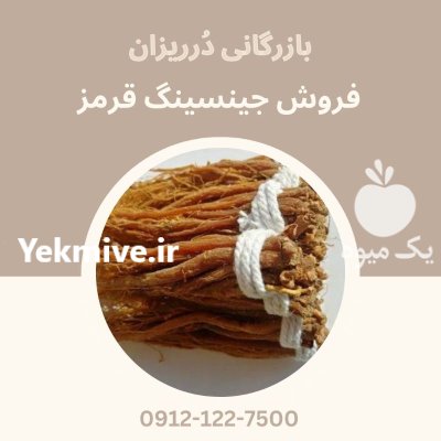 فروش جینسینگ فروش ریشه جینسینگ در تهران در گروه خرید و فروش ادویه در یکمیوه -عکس1