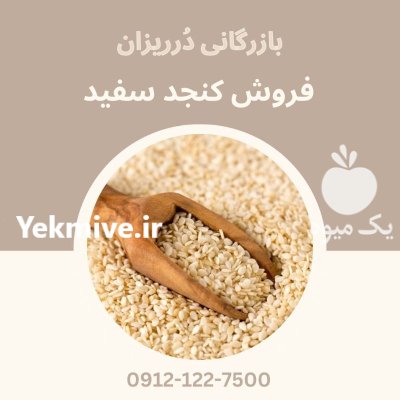 فروش کنجد سفید فروش کنجد قنادی در تهران در گروه خرید و فروش دانه های روغنی در یکمیوه -عکس1