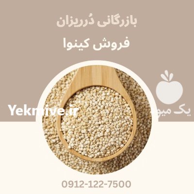 فروش کینوا فروش خاویار گیاهی کینوا در تهران در گروه خرید و فروش دانه های روغنی در یکمیوه -عکس1