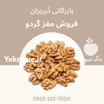 فروش مغز گردو کره گیری فروش در گروه خرید و فروش گردو در یکمیوه -عکس1