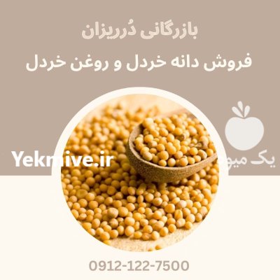 فروش دانه خردل روغن خردل فروش در گروه خرید و فروش ادویه در یکمیوه -عکس1