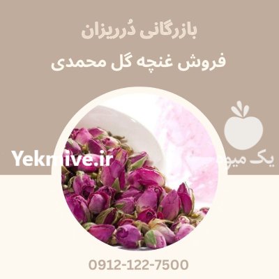 فروش غنچه گل محمدی در تهران در گروه خرید و فروش گیاهان دارویی در یکمیوه -عکس1