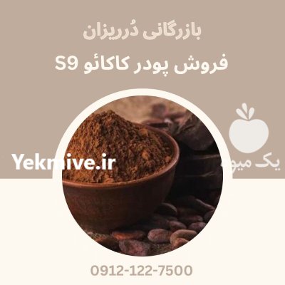 پودر کاکائو S 9 در گروه خرید و فروش ادویه در یکمیوه -عکس1