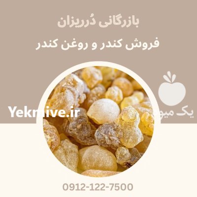 فروش کندر تازه و کندر خوراکی در گروه خرید و فروش ادویه در یکمیوه -عکس1