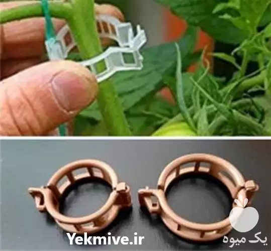 عرضه و فروش بست نگهدارنده بوته در کرج در گروه خرید و فروش تجهیزات گلخانه در یکمیوه -عکس1