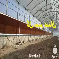 قیمت خرید پد سلولزی گلخانه در تهران در گروه خرید و فروش تجهیزات گلخانه در یکمیوه