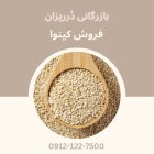فروش کینوا فروش خاویار گیاهی کینوا در تهران در گروه خرید و فروش دانه های روغنی در یکمیوه