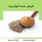 فروش زیره سبز زیره سیاه فروش در تهران در گروه خرید و فروش ادویه در یکمیوه