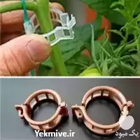 عرضه و فروش بست نگهدارنده بوته در کرج در گروه خرید و فروش تجهیزات گلخانه در یکمیوه
