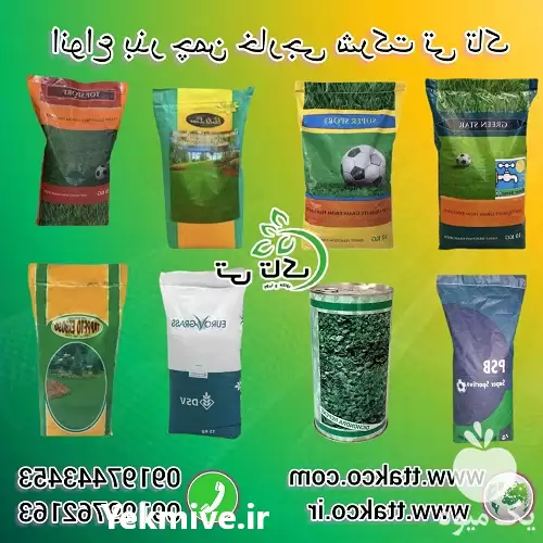فروش انواع بذر چمن خارجی شرکت در ساری در گروه خرید و فروش بذر چمن در یکمیوه -عکس1