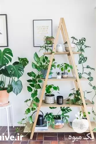 پاسیو و گلخانه شیشه ای سانتک در گروه سازنده در یکمیوه -عکس1