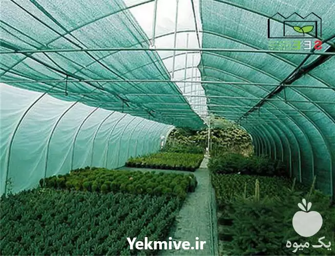 قیمت خرید توری سایبان سبز 50 در تهران در گروه خرید و فروش توری گلخانه در یکمیوه -عکس1