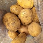 سیب زمینی آگریا در تهران در گروه خرید و فروش سیب زمینی در یکمیوه