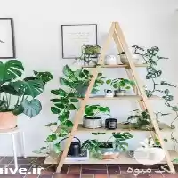 پاسیو و گلخانه شیشه ای سانتک در گروه سازنده در یکمیوه