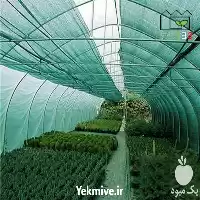 قیمت خرید توری سایبان سبز 50 در تهران در گروه خرید و فروش توری گلخانه در یکمیوه