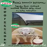 قیمت خرید توری ضد حشره در تهران در گروه خرید و فروش توری گلخانه در یکمیوه