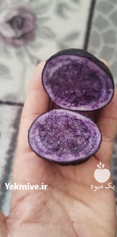 سیب زمینی بنفش در کرمانشاه در گروه خرید و فروش سیب زمینی در یکمیوه -عکس1