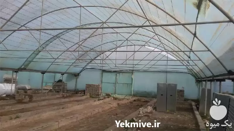طراحی و احداث گلخانه در گروه سازنده در یکمیوه -عکس1
