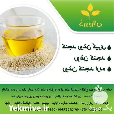 قیمت خرید کنجد روغنگیری بوجار شده در تهران در گروه خرید و فروش دانه های روغنی در یکمیوه -عکس1