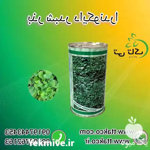 فروش بذر چمن یک کیلویی دایکوندرا در تبریز در گروه خرید و فروش بذر چمن در یکمیوه -عکس1