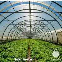 ساخت و ساز گلخانه در گروه سازنده در یکمیوه