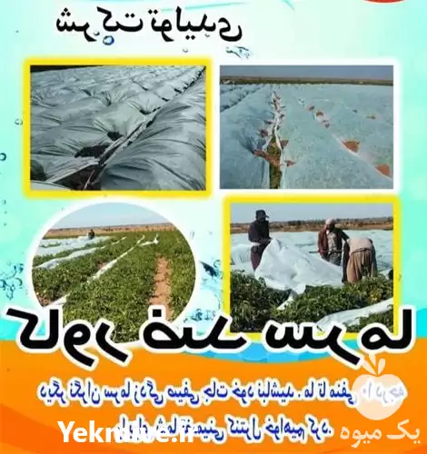تولید و فروش کاور ضد سرما در اصفهان در گروه خرید و فروش توری گلخانه در یکمیوه -عکس1